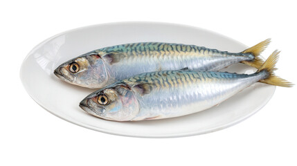 Fototapeta premium Fresh Horse Mackerel (Stavrida) on a Clean White Plate Isolated with Transparent Background. Generative AI