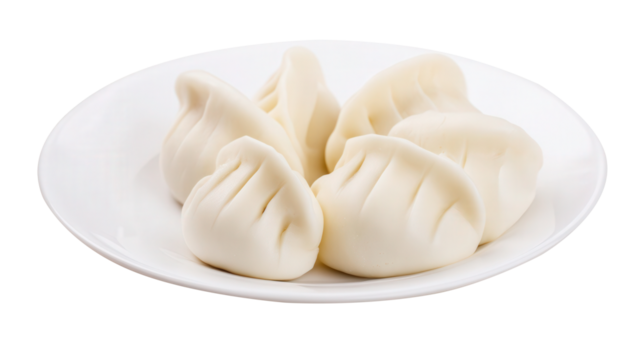 Dumpling dough on a clean white plate transparent background. Generative AI