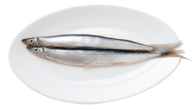 Fresh anchovy fish placed on a clean white plate with transparent background. Generative AI