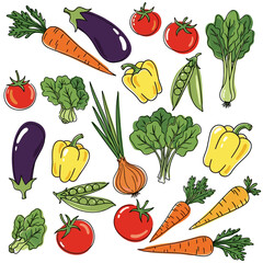 Colorful vegetables including tomatoes, peppers, and carrots on white background  