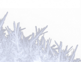 Snowflake winter ice frost frozen cold frame border white transparent decoration pattern.
