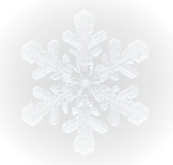Frozen winter snowflake ice frost cold frame border white transparent decoration pattern.
