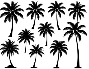Black silhouetted palm trees of varying heights, sizes, and shapes, isolated on a white background