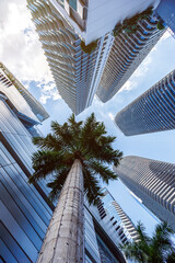 Miami skyline with skyscrapers real estate in Brickell neighborhood in Miami, United States