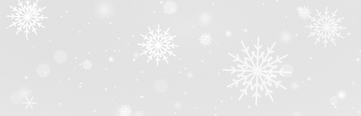 Frozen winter snowflake ice frost cold frame border white transparent decoration pattern.
