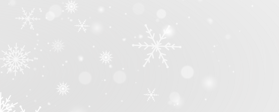 Winter snowflake frost ice frozen cold frame border white transparent decoration pattern.
