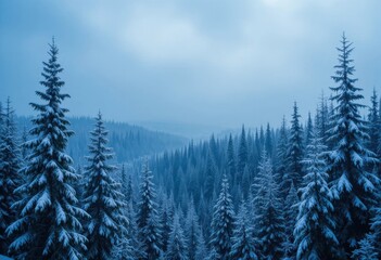 Snow-covered pine forest in a misty landscape during winter in early morning light