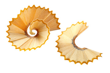 Two pencil shavings isolated on white background