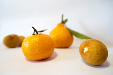 Citrus Fruits Arrangement on Clean White Surface