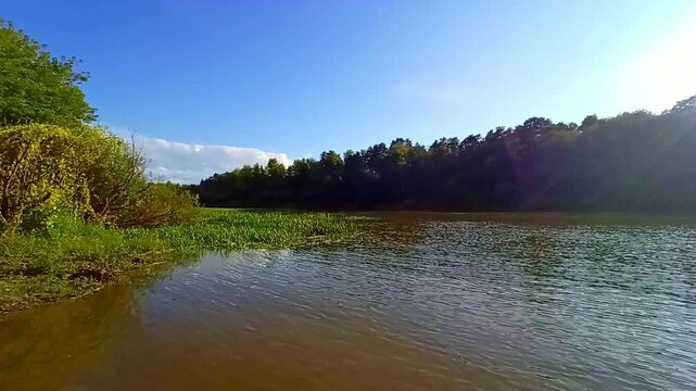 A gentle bank of a beautiful river with bushes and reeds along the water's edge on a sunny summer evening. The Inya River, Siberia, Russia.