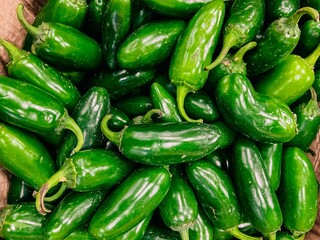 A Fresh Bounty of Vibrant Green Jalapeño Peppers Ready for Culinary Adventures and Spicy Dishes in Any Kitchen Setting