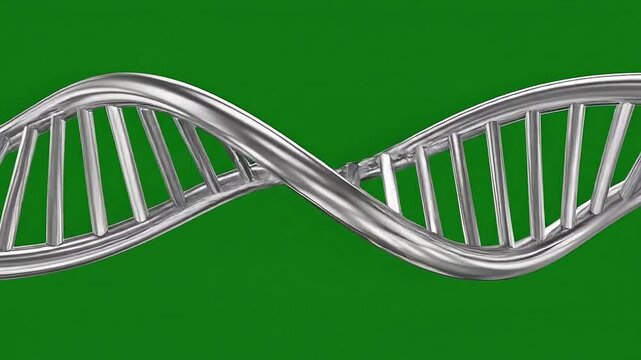 Dynamic DNA molecule spinning reveals genetic code in cutting edge 3D animation, perfect for science explainers and innovative research visuals