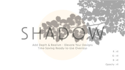 Minimalist vector art with soft beige circle and leafy branch shadows forming subtle typographic shadow overlay for modern graphic design compositions in gentle daylight mood