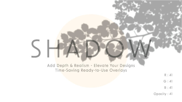 Minimalist vector art with soft beige circle and leafy branch shadows forming subtle typographic shadow overlay for modern graphic design compositions in gentle daylight mood