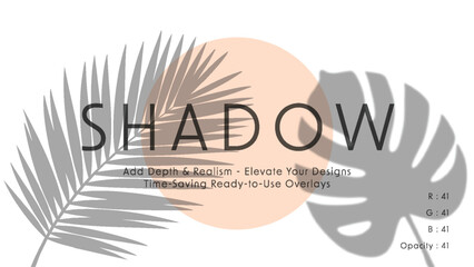 Minimalist vector art with overlapping tropical leaf shadows and peach sun circle behind bold shadow typography in soft gray palette, landscape layout, gentle afternoon lighting