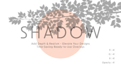 Minimalist vector art with soft gray foliage shadow overlay on pastel peach circle and white background, elegant typography reading shadow in center, calm daylight atmosphere