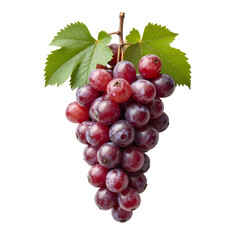 Fototapeta premium Grapes isolated on white