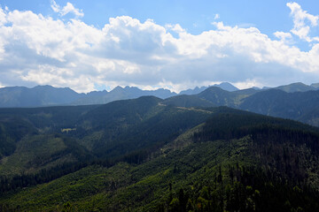 Fototapeta premium Landscape of the Tatra Mountains in the summer, view from the top of Mount Nosal. Beautiful panorama of the polish mountains, Tatra National Park, Kuznice, Zakopane, Poland