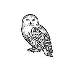 Minimalist Snowy Owl Silhouette with Subtle Frost-Like Textures