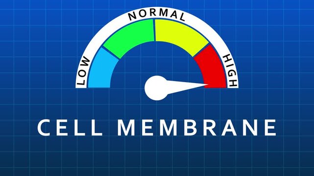 Cell Membrane Gauge Indicating Normal Levels Against A Blue Grid Background meter indicator