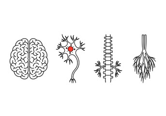 A collection of line art icons representing the human nervous system, including the brain, a neuron, the spinal cord, and nerve endings
