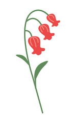 Stylized bell-shaped flower. Garden blossoming. Delicate plant with red petals and green leaves. For Greeting card, Happy Valentines day, Birthday, Baby Shower or Mother's Day. Botanical flat vector i
