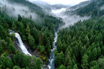 Misty Waterfall in Lush Green Forest Valley