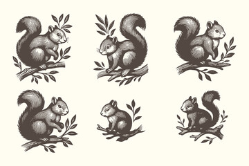 Charming black-and-white squirrel vector set in detailed engraving style, perfect for forest-themed prints, woodland illustrations, children’s designs, and nature graphics.