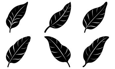 Elegant botanical leaves artfully arranged, a timeless nature inspired design element for invitations, branding and creative projects originally vector art