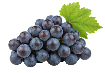 Isolated group of fresh juicy grapes with green leaf isolated ready to eat ingredient