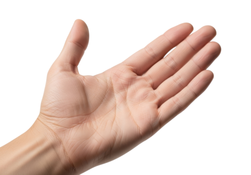 Isolated open hand reaches upward, human anatomy, light skin tone, gesturing, hope