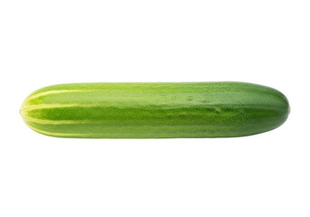 Isolated green cucumber with stripes; fresh vegetable ready for cooking and eating well