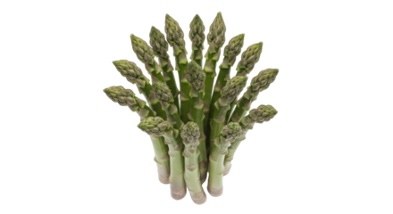 Isolated fresh asparagus bunch, vegetable ingredient for a healthy meal and diet plan
