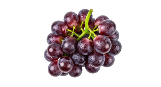 Isolated bunch of fresh, dark red grapes, covered with drops of water, against a clean backdrop