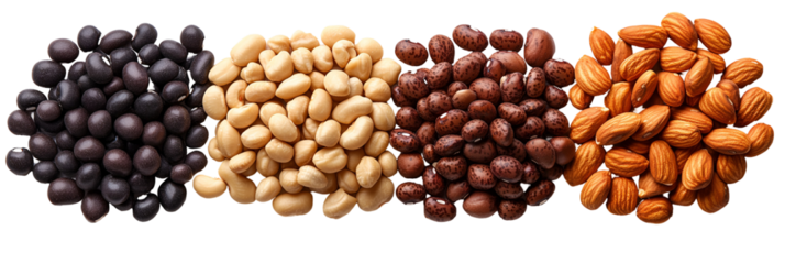 Four different colored and textured granular elements displaying variety in texture