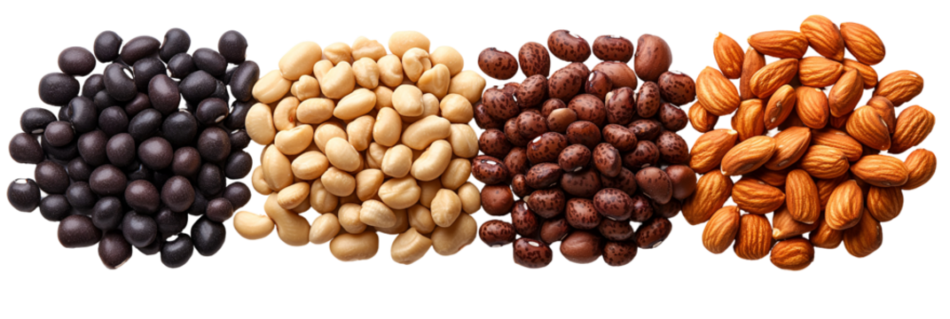 Four different colored and textured granular elements displaying variety in texture