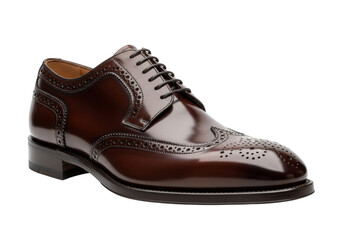 Isolated elegant brown leather wingtip brogue shoe for men, fashion footwear accessory
