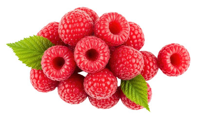 Isolated closeup of fresh red raspberries with green leaves, healthy fruit ingredient