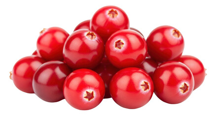 Isolated bunch of vibrant red cranberries for holiday cooking and healthy eating themes