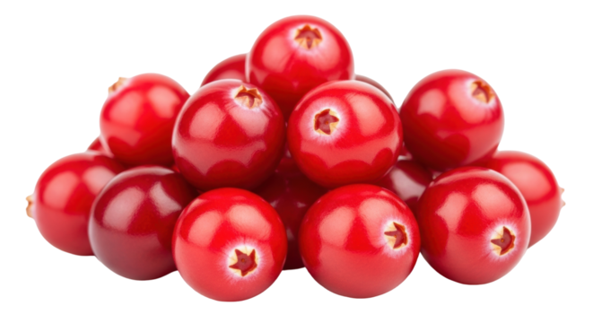 Isolated bunch of vibrant red cranberries for holiday cooking and healthy eating themes