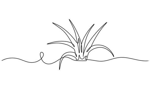 Grass continuous one line drawing animation video. Full length single line animation, Grass in one continuous line drawing 4k animation video, Cow in the meadow. Self-drawing a simple animation of one