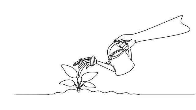 hand with can watering plant at garden continuous one line drawing animation, Animation of single continuous line drawing hand holds a lump of soil with flowering plant and watering it with watering
