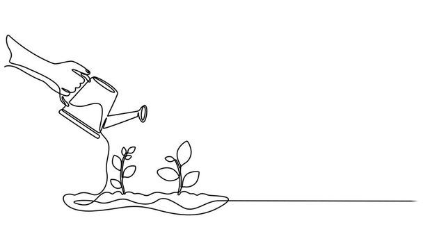 hand with can watering plant at garden continuous one line drawing animation, Animation of single continuous line drawing hand holds a lump of soil with flowering plant and watering it with watering