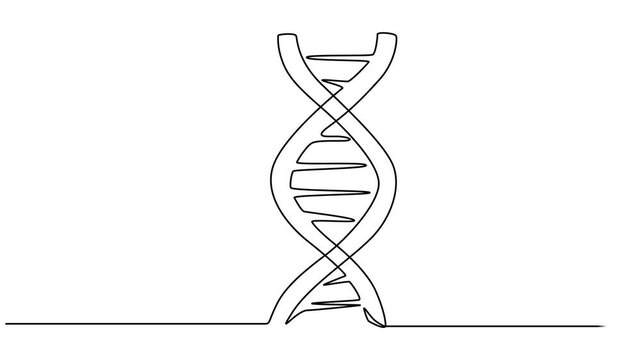 DNA continuous one line drawing, scientific research concept, genome linear structure symbol, minimalist vector 4k animation video, Self animated continuous one line drawing of DNA. Full length one