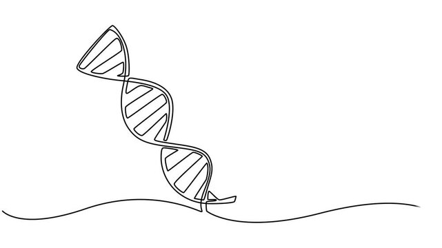 DNA continuous one line drawing, scientific research concept, genome linear structure symbol, minimalist vector 4k animation video, Self animated continuous one line drawing of DNA. Full length one