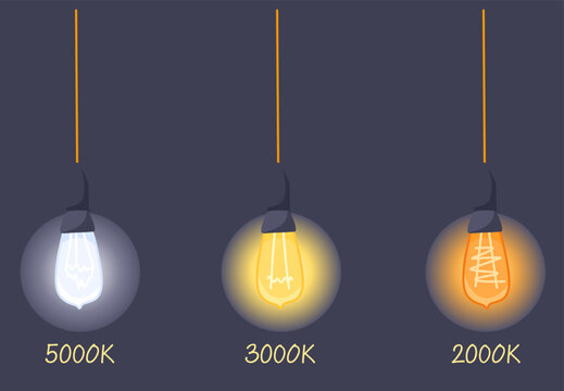 Three hanging bulbs showing different color temperatures: 5000K cool white, 3000K warm yellow, 2000K orange glow. Vector illustration for lighting guides, infographics and interior design visuals