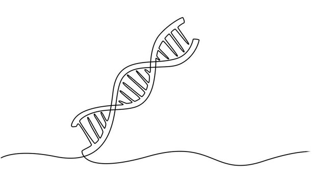 DNA continuous one line drawing, scientific research concept, genome linear structure symbol, minimalist vector 4k animation video, Self animated continuous one line drawing of DNA. Full length one