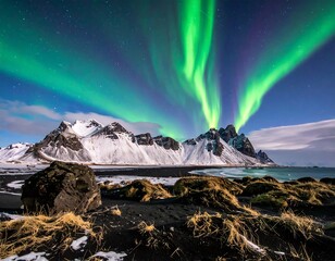 Aurora Borealis dances above snow-capped mountains, overlooking a black sand beach and foreground with dry grass