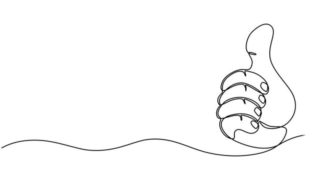 Animated self drawing of continuous line draw of hand thumb up. Full length one line animation. 4K, Animation of continuous one line drawing hand showing thumbs up sign. Full length motion, Self draw