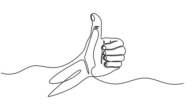 Animated self drawing of continuous line draw of hand thumb up. Full length one line animation. 4K, Animation of continuous one line drawing hand showing thumbs up sign. Full length motion, Self draw